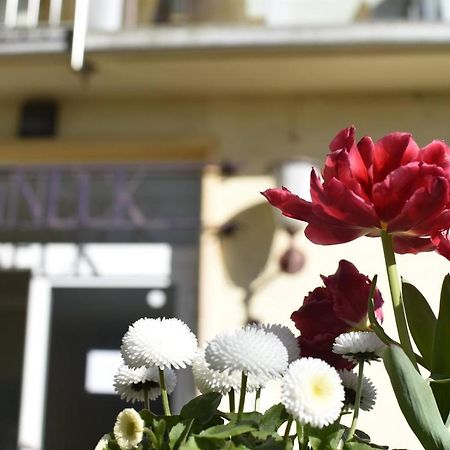 Отель Haus Sonneck Marburg Экстерьер фото